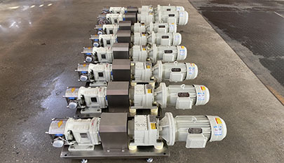 3RP Series Rotary Lobe Pump